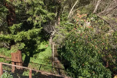 3326 Walnut Lane, Lafayette, CA 94549 - Photo 53