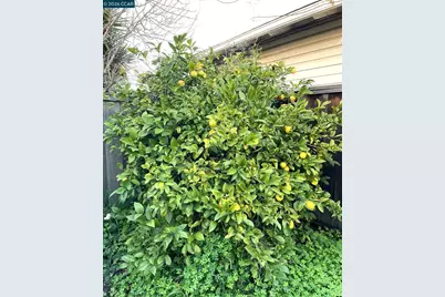 363 Bissell Ave, Richmond, CA 94801 - Photo 19
