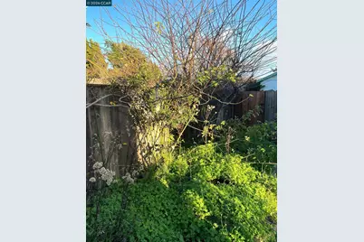 363 Bissell Ave, Richmond, CA 94801 - Photo 21