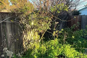 363 Bissell Ave, Richmond, CA 94801 - Photo 21