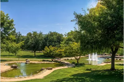 0 Oak Road, Alamo, CA 94507 - Photo 23