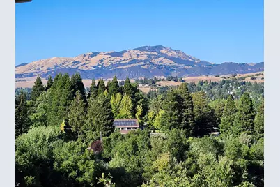 1823 Mockingbird Pl, Danville, CA 94526 - Photo 41