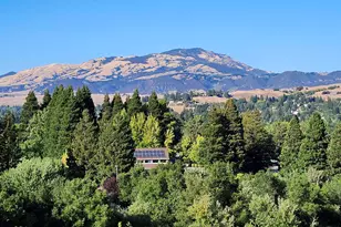 1823 Mockingbird Pl, Danville, CA 94526 - Photo 41