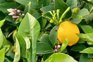 2004 Biglow Dr, Antioch, CA 94509 - Photo 7