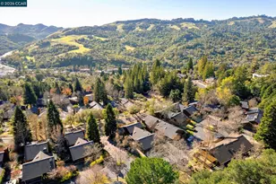 316 Village View Ct, Orinda, CA 94563 - Photo 37