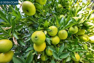 916 Calle Verde, Martinez, CA 94553 - Photo 45