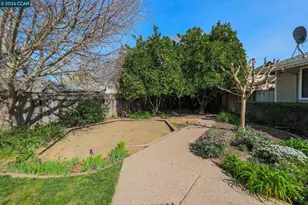 3181 Santa Maria Dr, Concord, CA 94518 - Photo 31