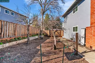 327 Mt Washington Way, Clayton, CA 94517 - Photo 37