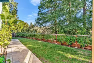 327 Mt Washington Way, Clayton, CA 94517 - Photo 39