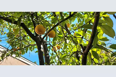 35 Merrimac Pl, Pittsburg, CA 94565 - Photo 27