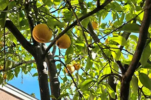 35 Merrimac Pl, Pittsburg, CA 94565 - Photo 27