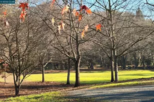 3264 Withers Ave, Lafayette, CA 94549 - Photo 53