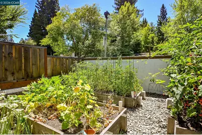 1023 White Gate Rd, Alamo, CA 94507 - Photo 49