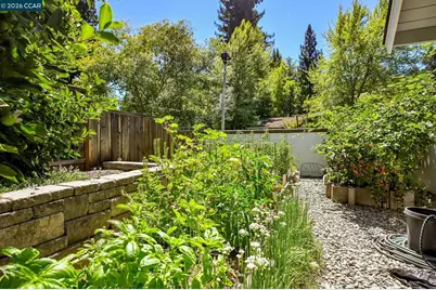 1023 White Gate Rd, Alamo, CA 94507 - Photo 51