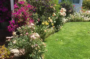 1202 Lillian Ave, San Leandro, CA 94578 - Photo 49