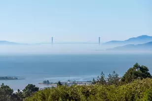 61 Cowper Ave, Kensington, CA 94707 - Photo 47