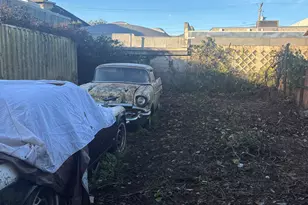 2414 Fifth St, Berkeley, CA 94710 - Photo 5