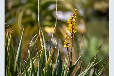 3570 Jordan Rd, Oakland, CA 94619 - Photo 57