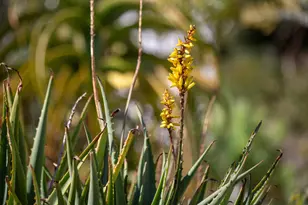 3570 Jordan Rd, Oakland, CA 94619 - Photo 57