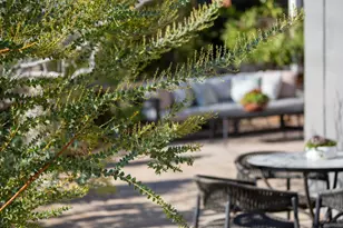 3570 Jordan Rd, Oakland, CA 94619 - Photo 53