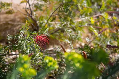 3570 Jordan Rd, Oakland, CA 94619 - Photo 59