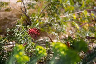 3570 Jordan Rd, Oakland, CA 94619 - Photo 59