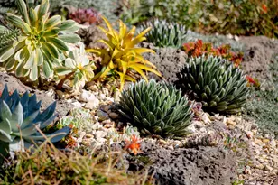 3570 Jordan Rd, Oakland, CA 94619 - Photo 43