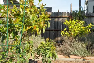 1468 Monterey St, Richmond, CA 94804 - Photo 33