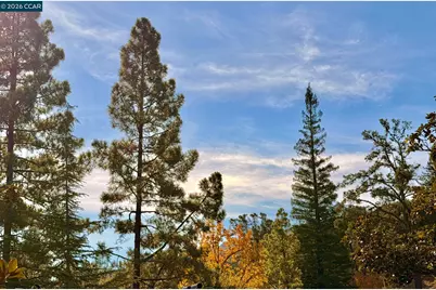 1324 Singingwood Court #3, Walnut Creek, CA 94595 - Photo 3