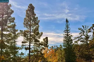 1324 Singingwood Ct, Walnut Creek, CA 94595 - Photo 3