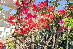 1416 Versailles Ave, Alameda, CA 94501 - Photo 53