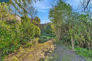 1978 Magnolia Way, Walnut Creek, CA 94595 - Photo 33