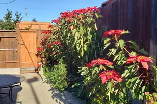 6130 Van Fleet Ave, Richmond, CA 94804 - Photo 15