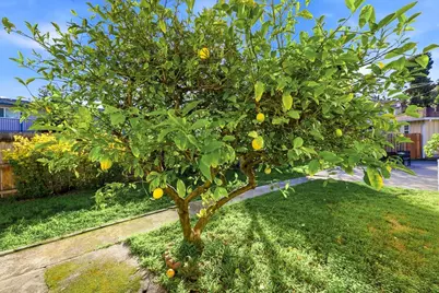 19790 Stanton Ave, Castro Valley, CA 94546 - Photo 47