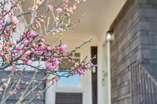 3846 Beaumont Ave, Oakland, CA 94602 - Photo 3