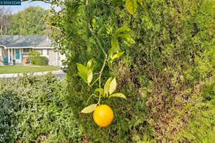 3128 Esperanza Dr, Concord, CA 94519 - Photo 33