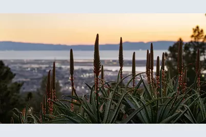 298 Stantonville Drive, Oakland, CA 94619 - Photo 57