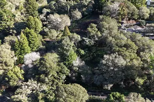 1488 Alvarado Rd, Berkeley, CA 94705 - Photo 3