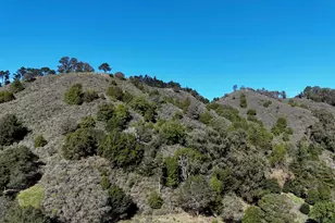 1488 Alvarado Rd, Berkeley, CA 94705 - Photo 5