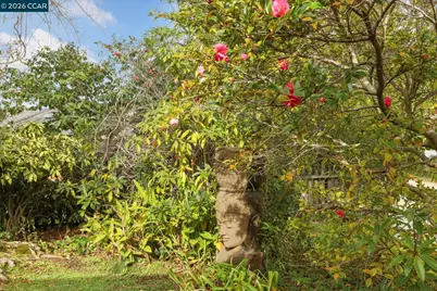 204 El Camino Real, Berkeley, CA 94705 - Photo 9