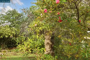 204 El Camino Real, Berkeley, CA 94705 - Photo 9