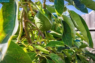 2375 Andrade Ave, Richmond, CA 94804 - Photo 33