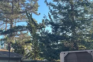 302 Ash Ln, El Sobrante, CA 94803 - Photo 39