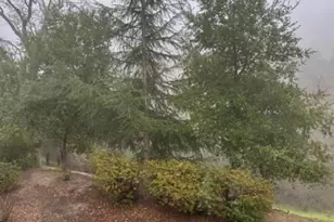 1857 Golden Rain Rd, Walnut Creek, CA 94595 - Photo 43