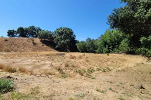 40 Hilldale Ct, Orinda, CA 94563 - Photo 51