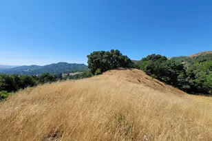 40 Hilldale Ct, Orinda, CA 94563 - Photo 53