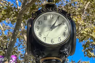 1005 Claremont Dr, Concord, CA 94518 - Photo 45