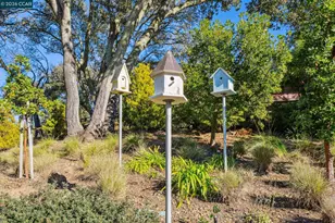 11 El Caminito, Orinda, CA 94563 - Photo 55