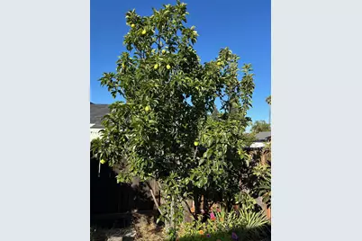 9752 Tareyton Ave, San Ramon, CA 94583 - Photo 43