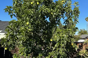 9752 Tareyton Ave, San Ramon, CA 94583 - Photo 43